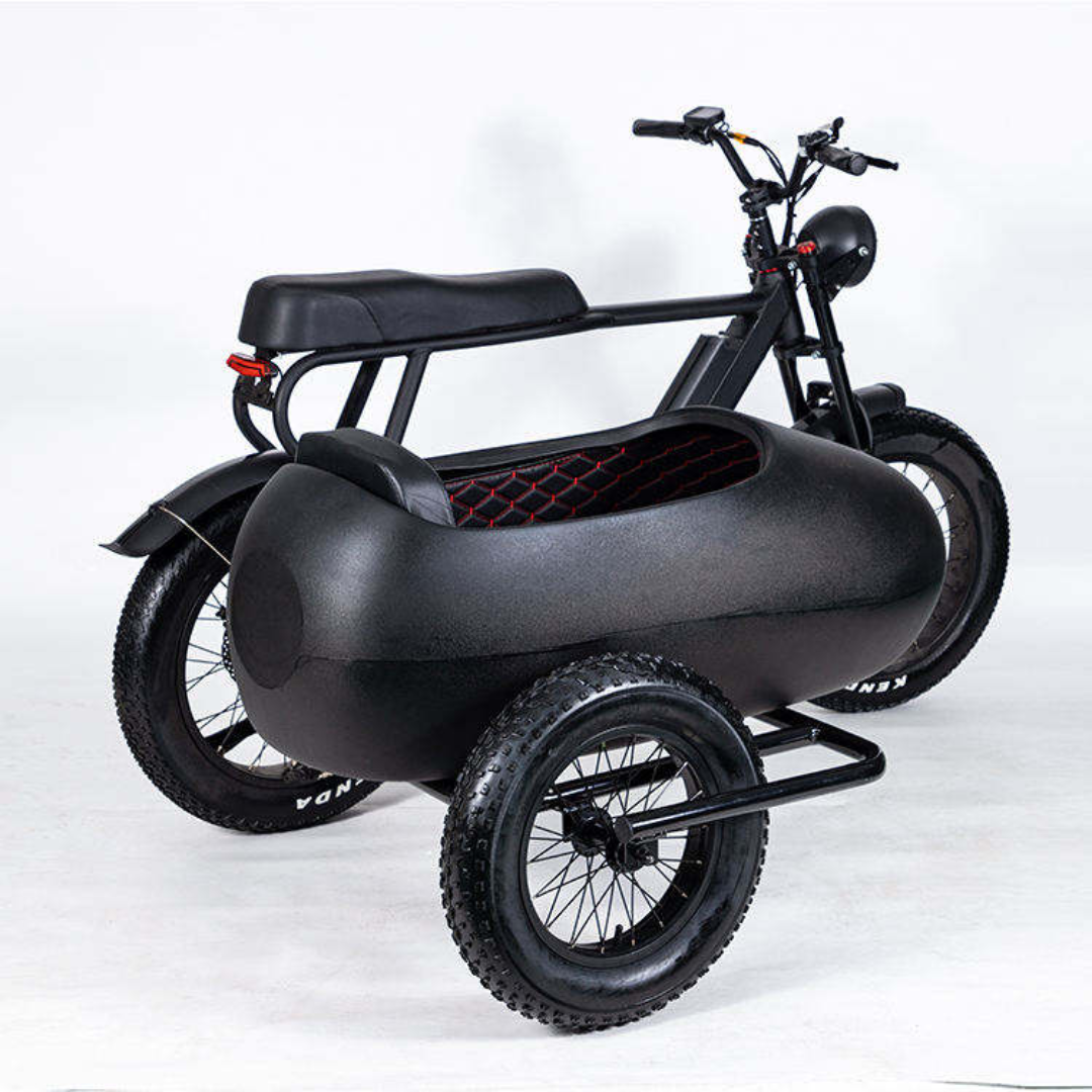 BlackHawk Urban Sidecar E-Bike