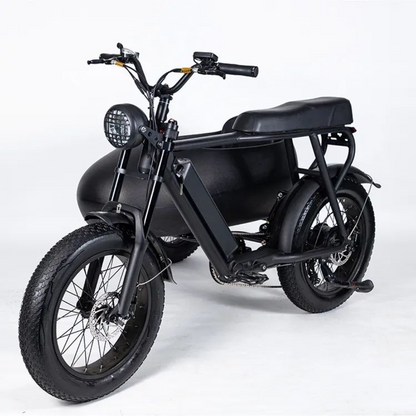 BlackHawk Urban Sidecar E-Bike