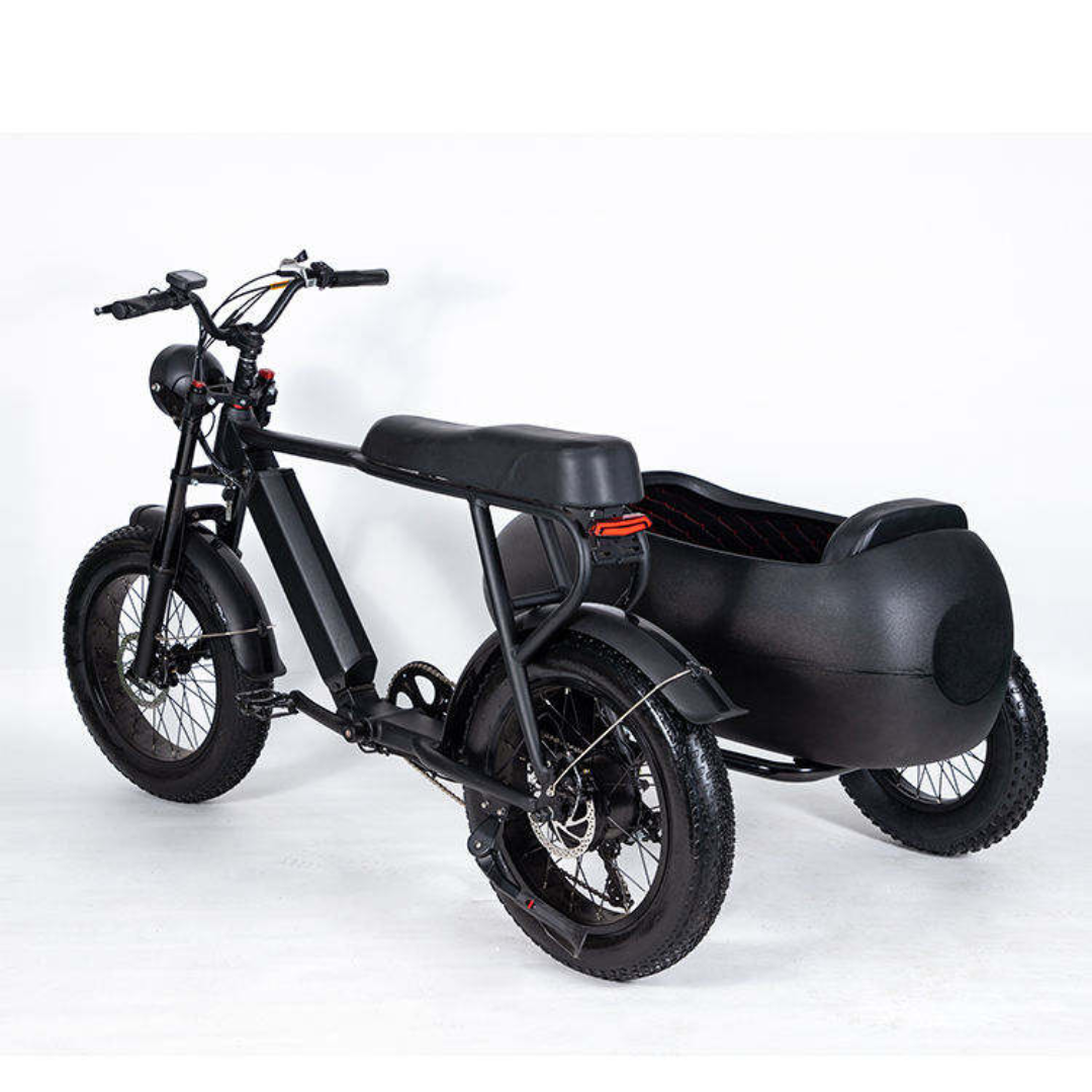 BlackHawk Urban Sidecar E-Bike