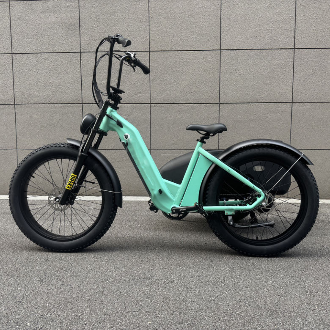 TerraVolt Explorer X-Side E-Bike