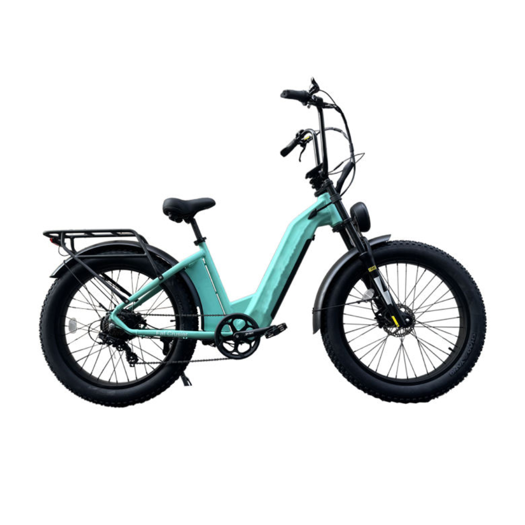 TerraVolt Explorer X-Side E-Bike